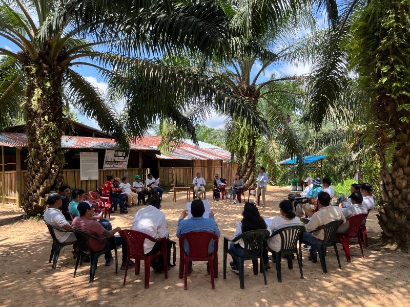 En este momento estás viendo Agenda del proyecto Palma Futuro en Perú