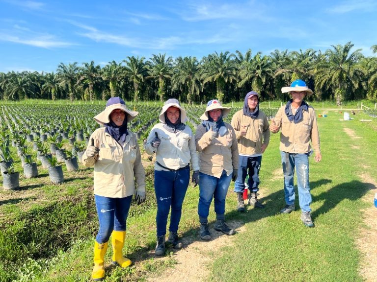 Lee más sobre el artículo Lanzamiento del estudio “Conocimientos, actitudes y prácticas frente al trabajo infantil en el sector del aceite de palma de la zona norte de Colombia”