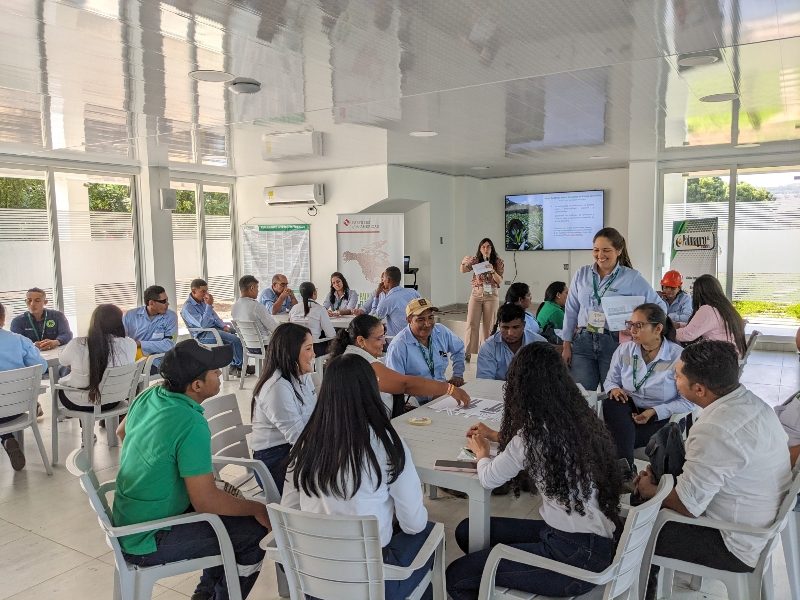 En este momento estás viendo Taller en promoción de la equidad de género en Palmagro